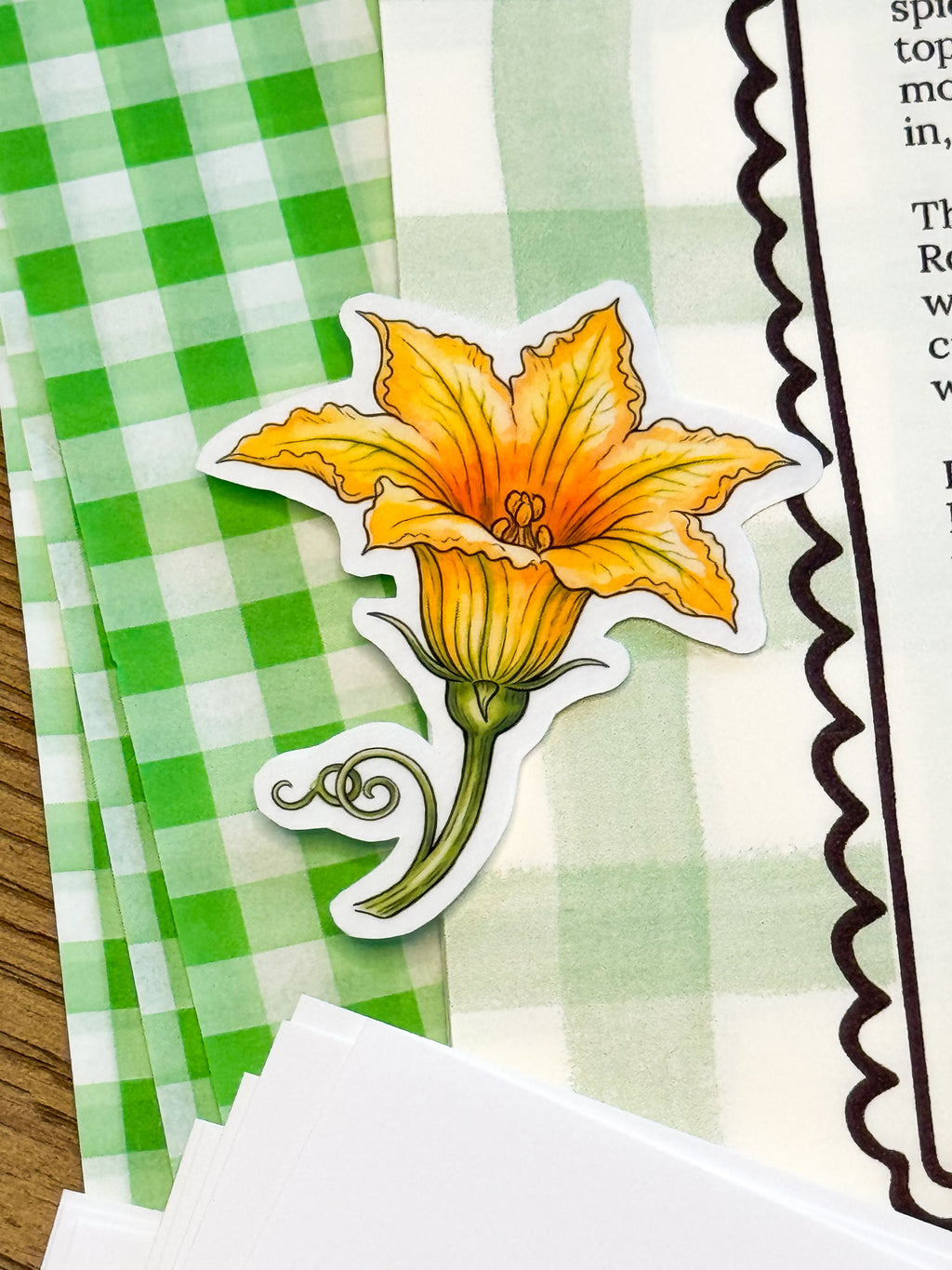 The Novice Chef Mail Club